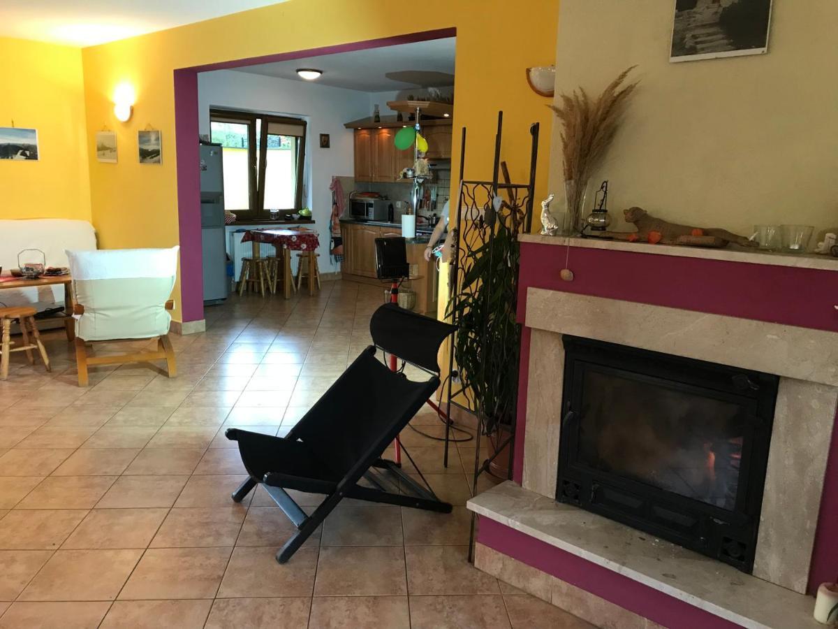 Villa Kowalowka Zakopane Kültér fotó